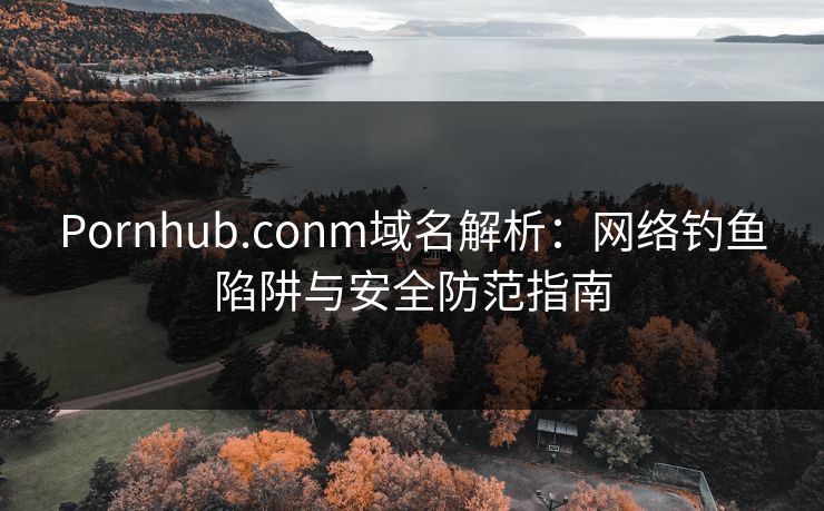 Pornhub.conm域名解析：网络钓鱼陷阱与安全防范指南