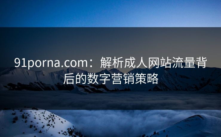 91porna.com：解析成人网站流量背后的数字营销策略  第1张