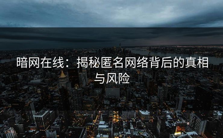 暗网在线：揭秘匿名网络背后的真相与风险  第1张