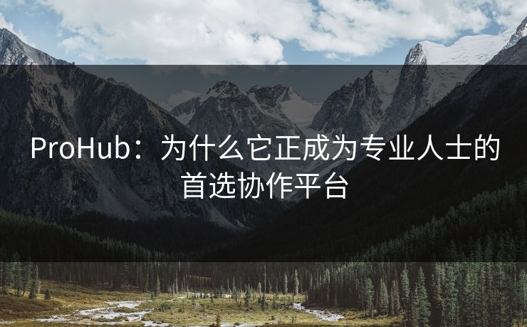 ProHub：为什么它正成为专业人士的首选协作平台  第1张