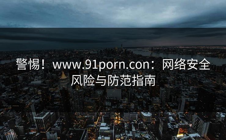 警惕！www.91porn.con：网络安全风险与防范指南  第1张