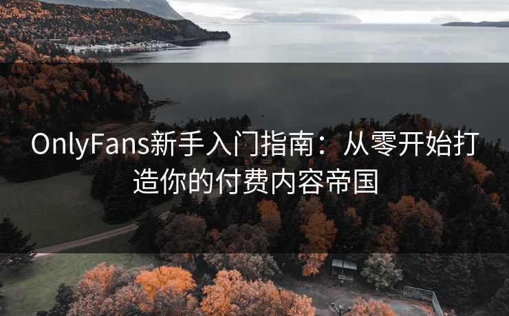 OnlyFans新手入门指南：从零开始打造你的付费内容帝国