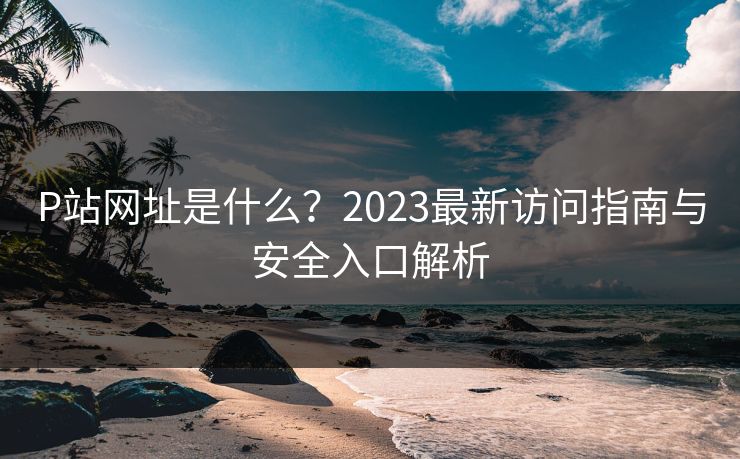 P站网址是什么？2023最新访问指南与安全入口解析  第1张