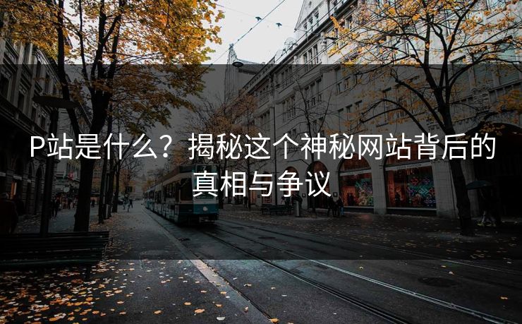 P站是什么？揭秘这个神秘网站背后的真相与争议  第1张
