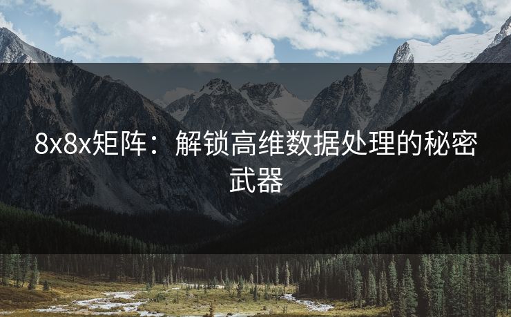 8x8x矩阵：解锁高维数据处理的秘密武器
